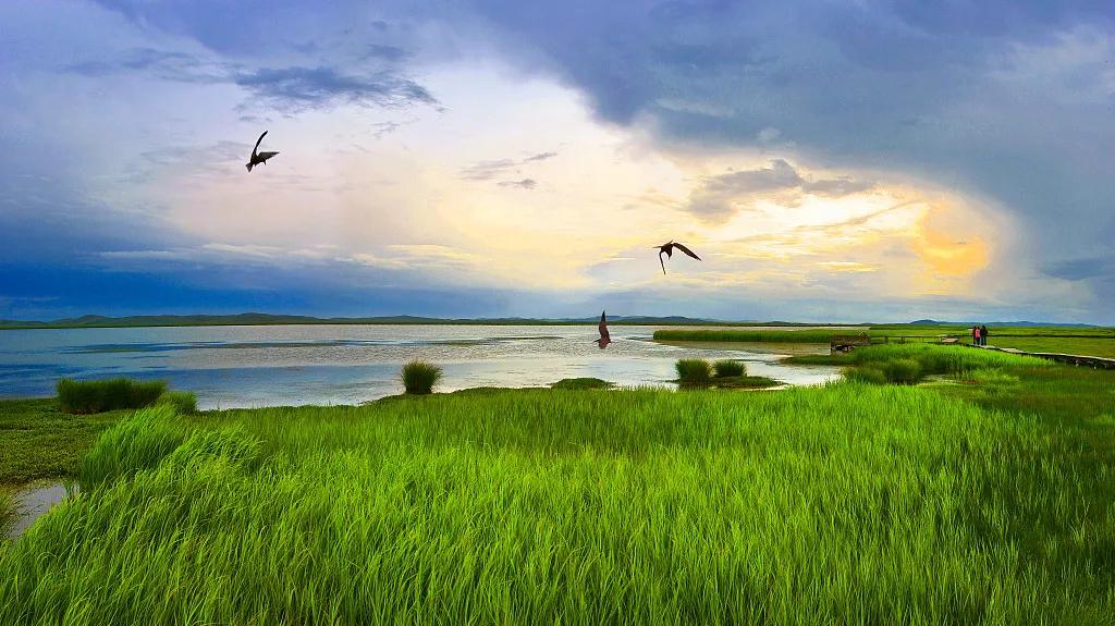 槐林湿地公园地址,槐林湿地公园可以进去么