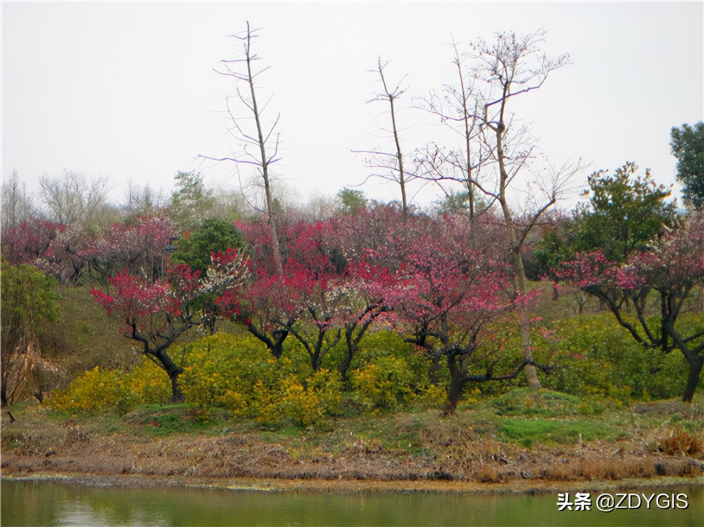 清代西湖十八景,人文摄影西湖十八景