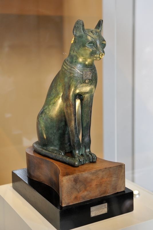 中国的家猫的起源地在哪,猫起源于哪个地方