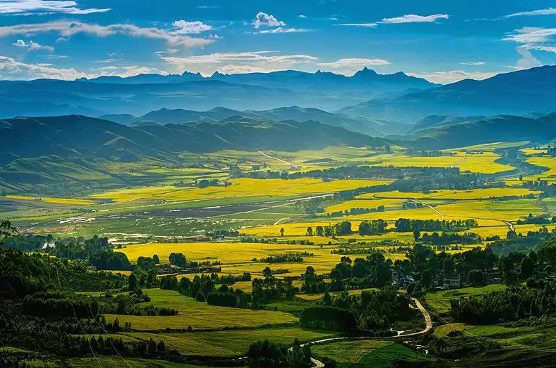 盘点知名汽车赛事,汽车赛事纯燃油