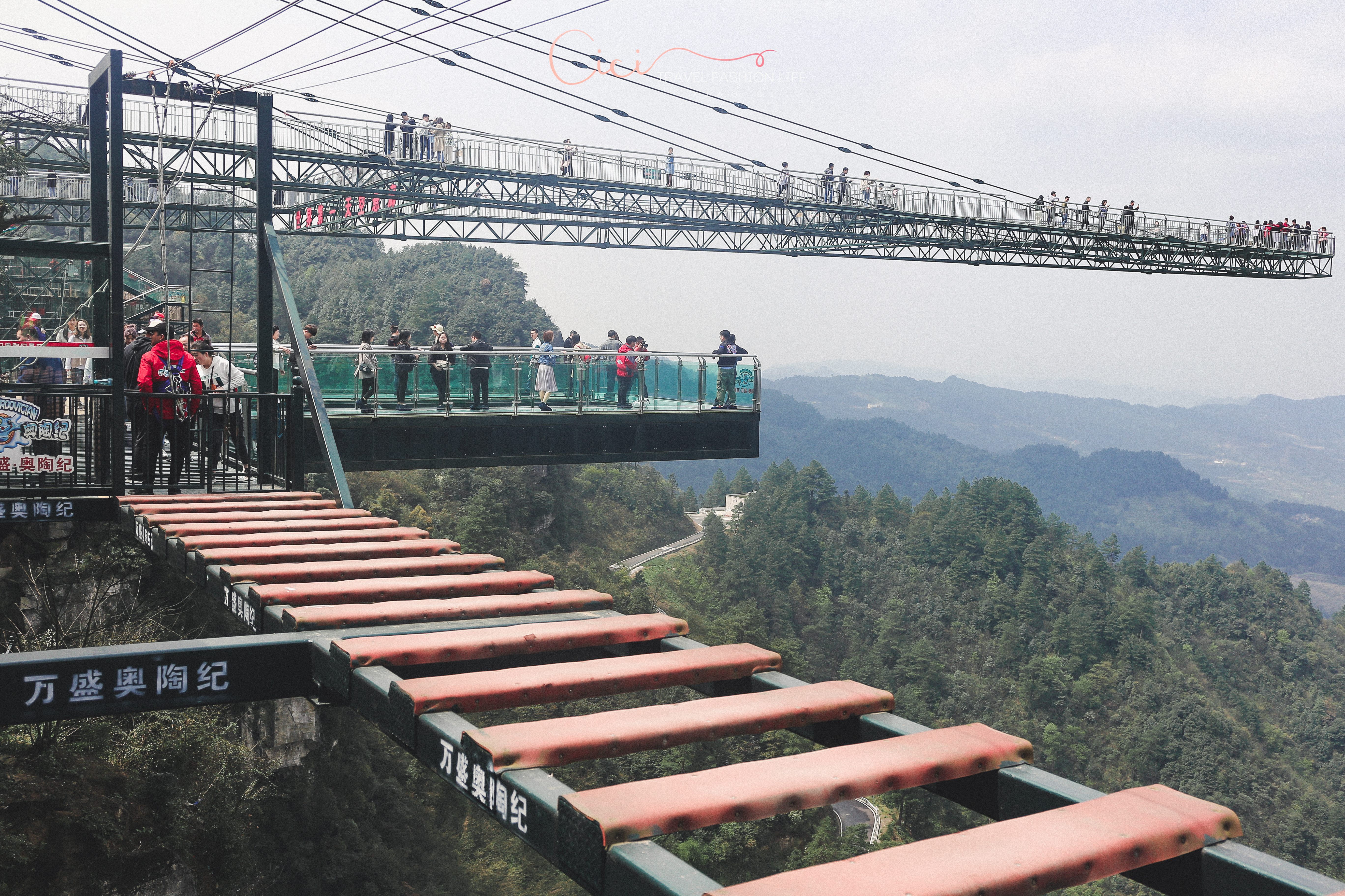 不可思议的奥陶纪