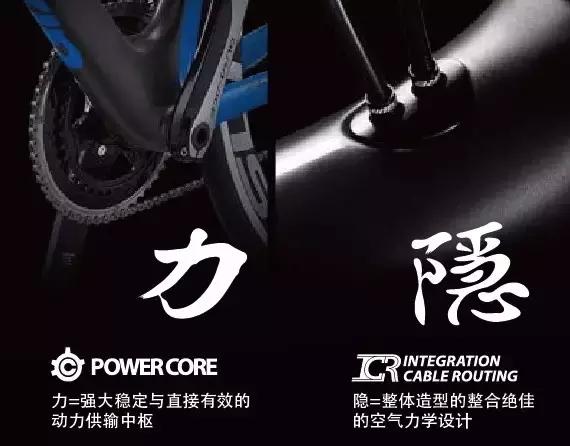 捷安特山地车s车架,台湾产捷安特公路自行车