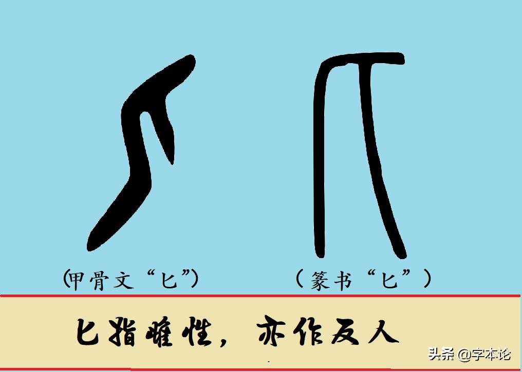 你发现藏在“尼”字里的性别符号了吗？古“尼”字里的性别秘密