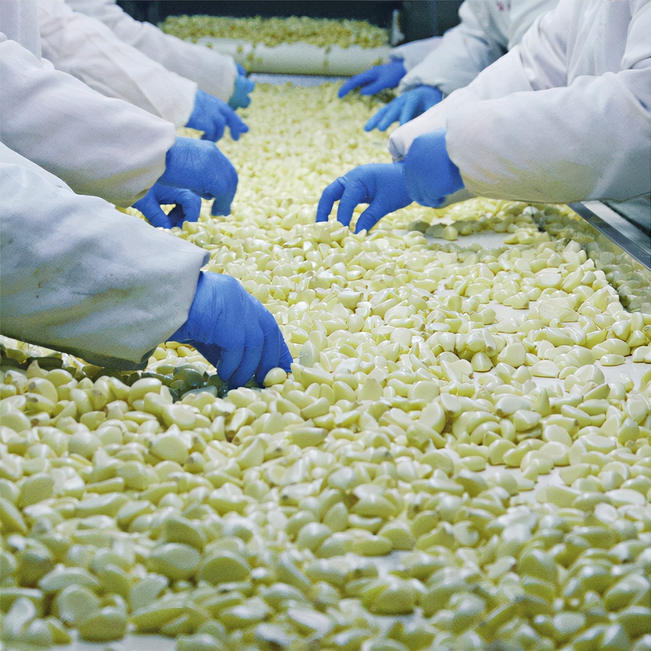 济南今年要建105个乡村振兴样板村,山东乡村特色产业10亿元村名单