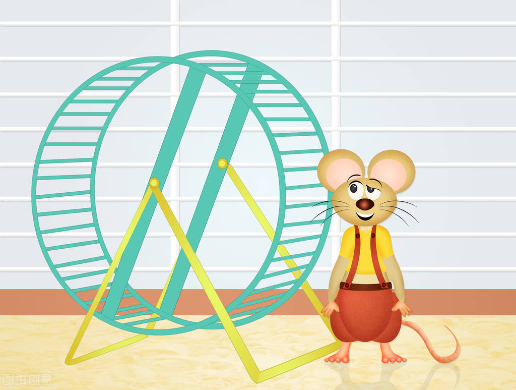 仓鼠除了吃鼠粮和水果还能吃什么,宠物仓鼠爱吃的食物有哪些