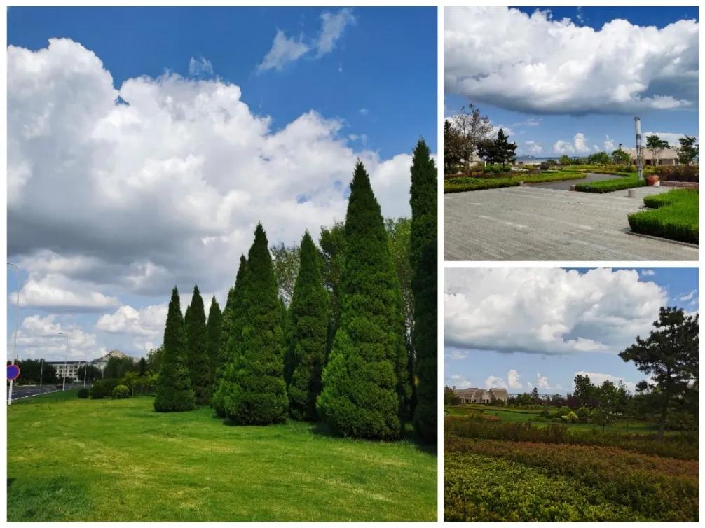 探寻北纬37度的秘密——一个向海而生的乐活小镇