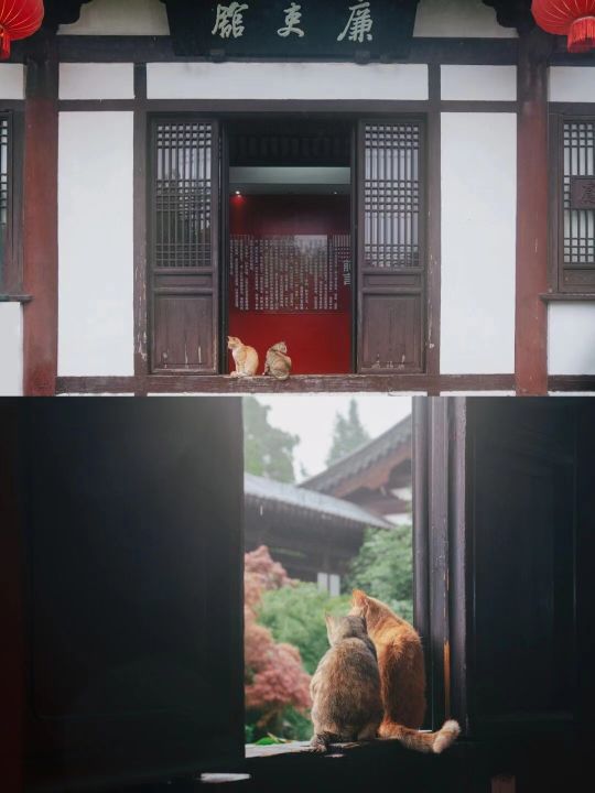 七夕节应该卖什么礼物比较赚钱,竞彩过节费推荐