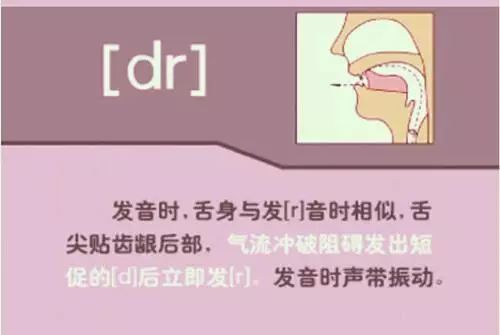 张中军音标发音48个教学视频合集,音标发音48个正确发音讲解视频