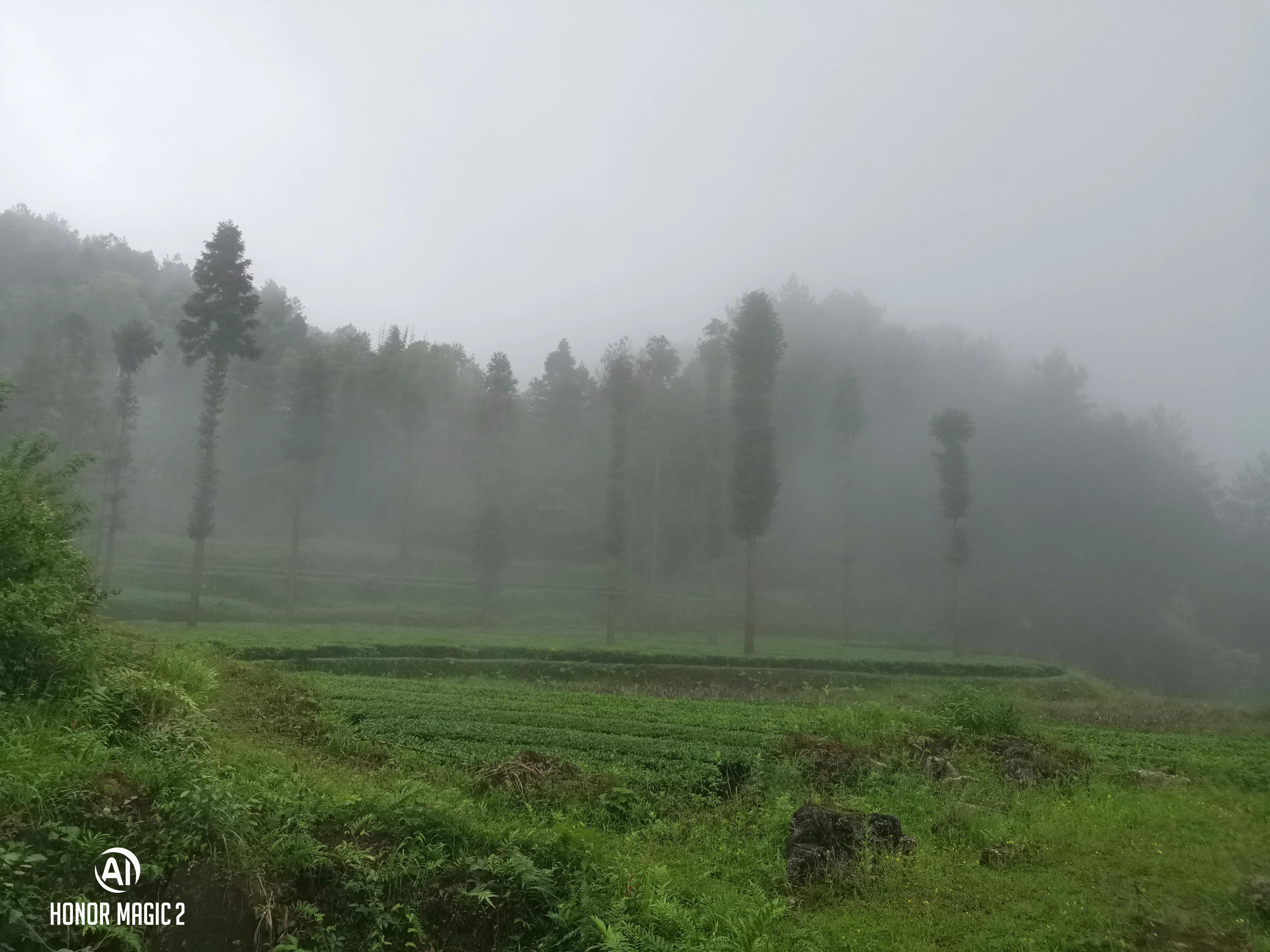 宣恩金龙谷田园综合体项目,九龙峪田园综合体