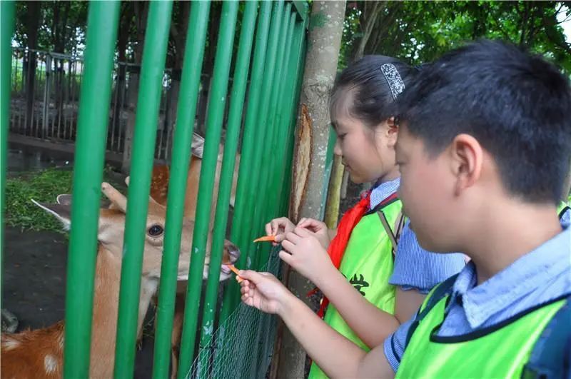 江苏省南通市启东市长江小学,启东长江小学研学