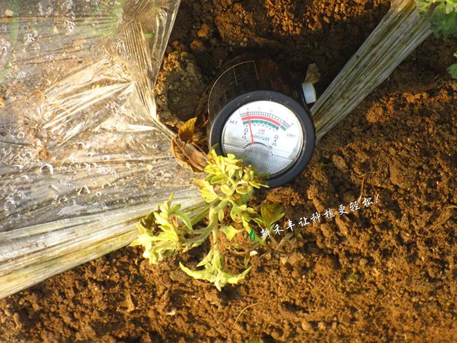 土壤ph值表示酸度改良,土壤酸化怎么调酸度