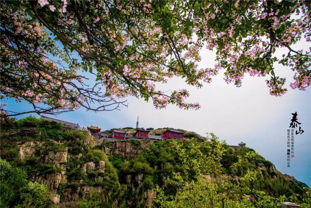 春水初生林初盛春,春水初生林初盛