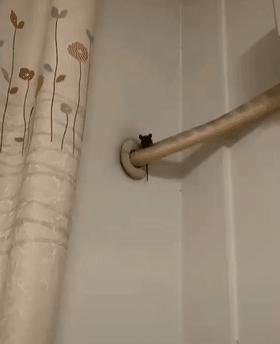 空调水管里有异物怎样取出来,空调管子里好像有老鼠