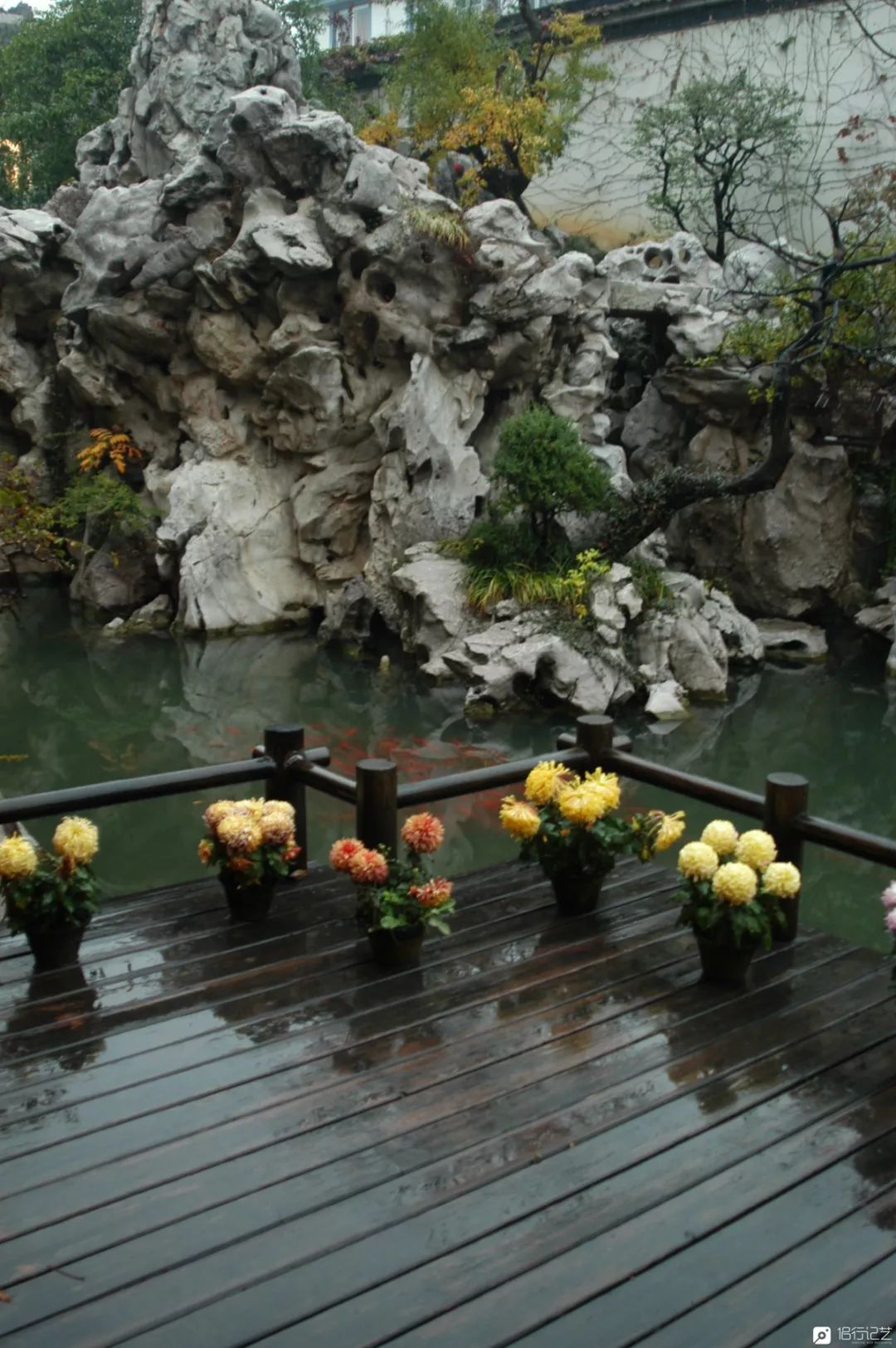 大叔花700万建的花园别墅,太湖石苏州