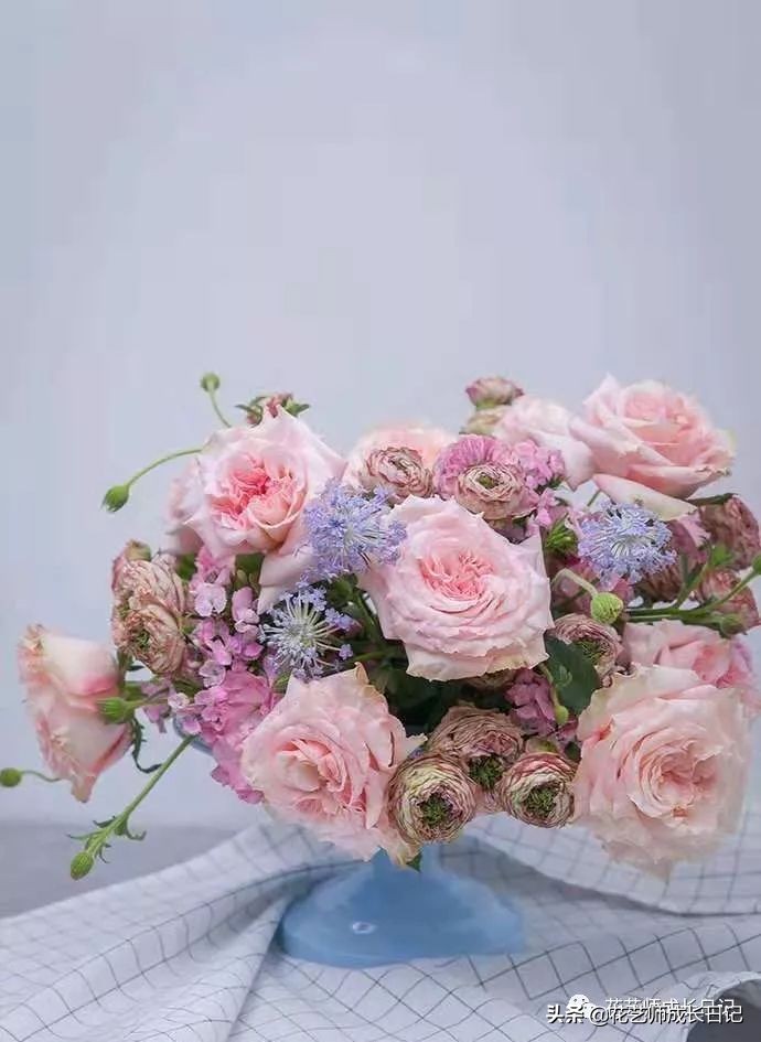 12种浪漫粉色系玫瑰图鉴,10款紫色玫瑰品种介绍