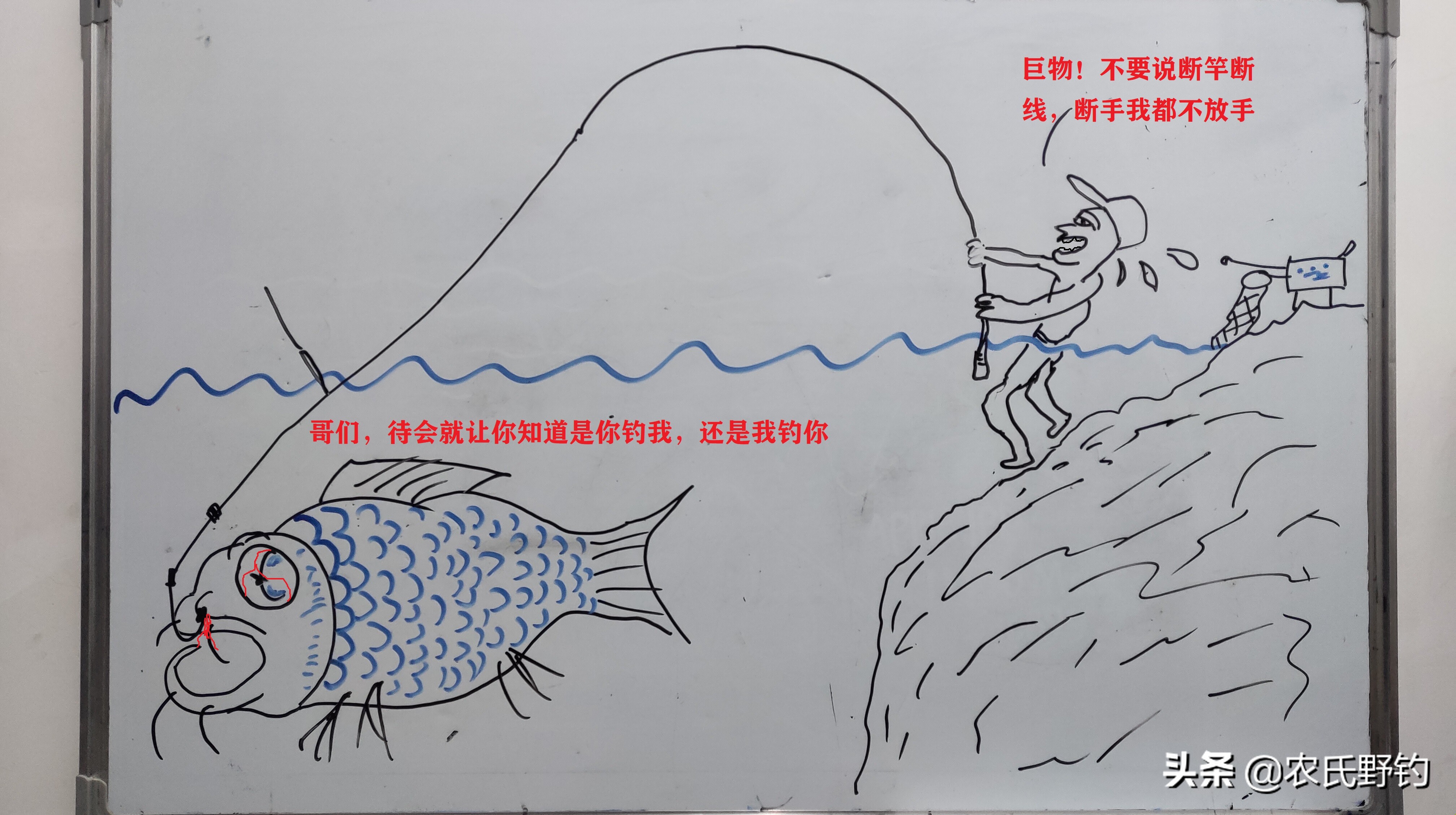 户外野钓钓鱼知识,户外野钓钓鱼常识