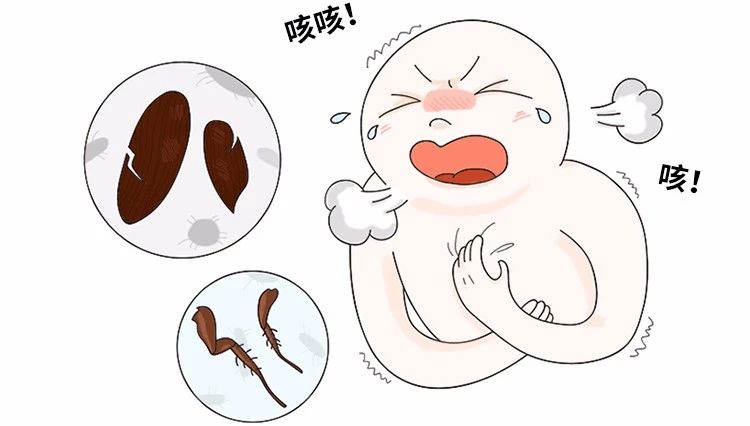 蟑螂卵都不剩的灭蟑方法,彻底消灭蟑螂老窝