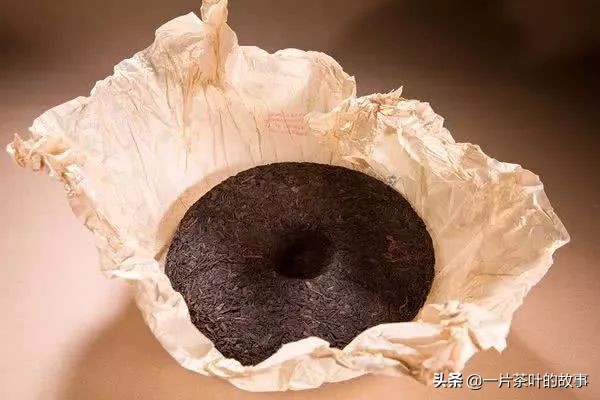 普洱茶饼里长茶虫还能喝吗,普洱茶饼有霉了还能喝吗