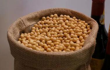 北纯推荐丨营养师都称赞的“豆中之王”究竟有什么营养你知道吗?