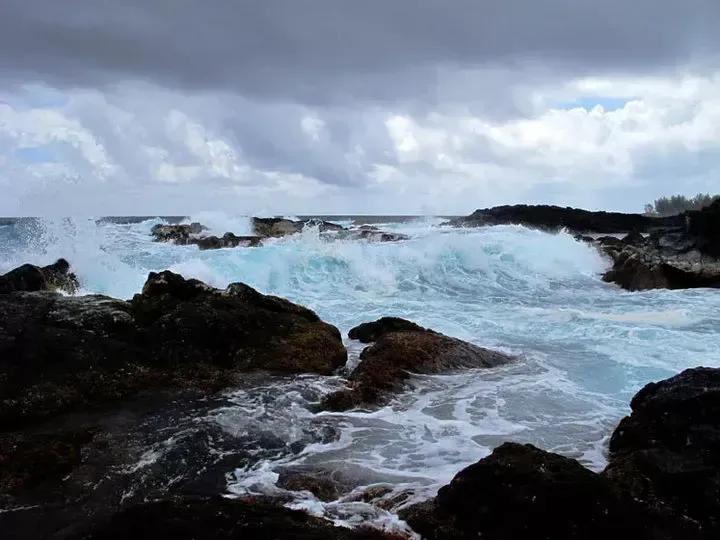 什么是道什么是术,什么是道心