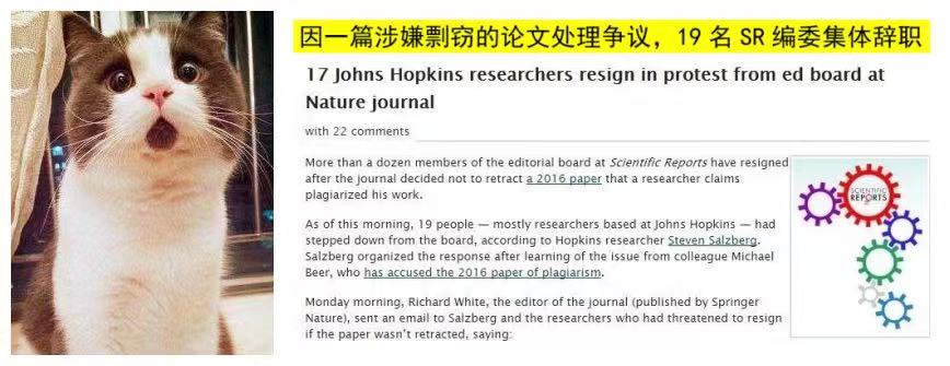 水刊会成为学术污点吗,水刊发表的论文有用吗