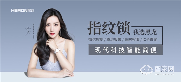 智能门锁龙头企业,2019智能门锁市场如何