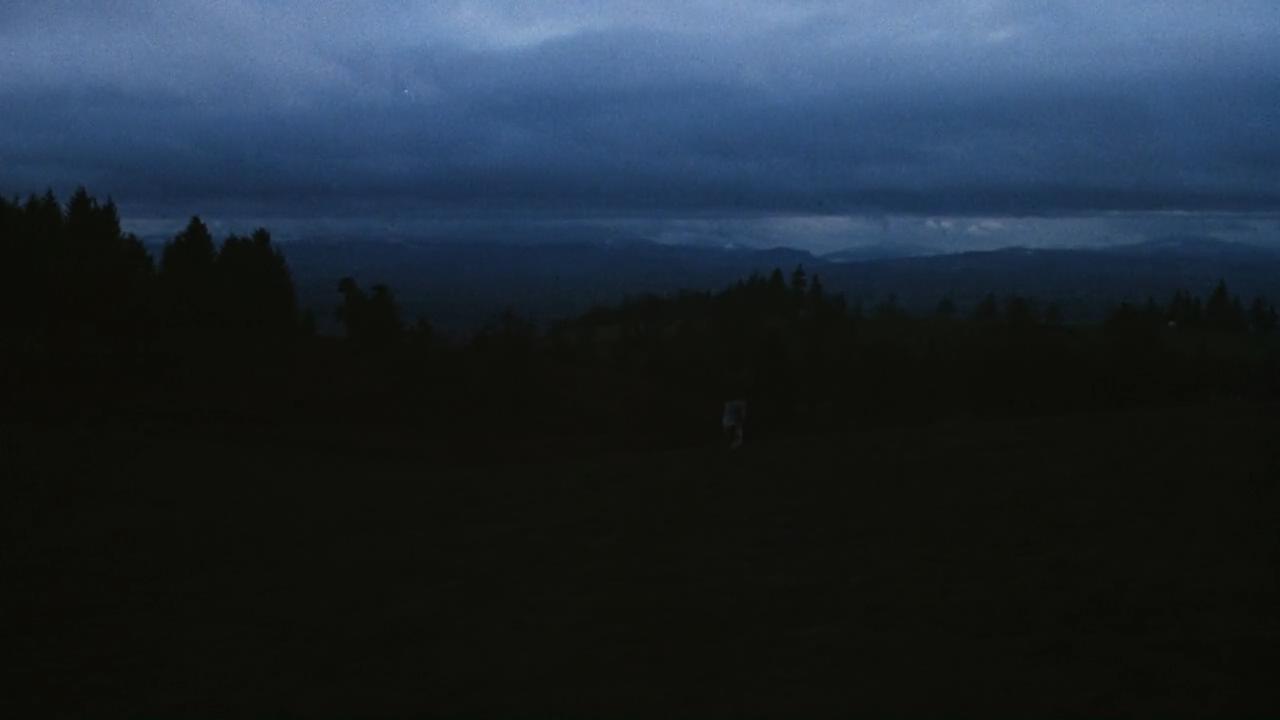 飞越疯人院博弈自由,飞越疯人院秩序与自由