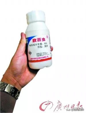 养小型观赏鱼常备药,观赏鱼能用什么药最安全