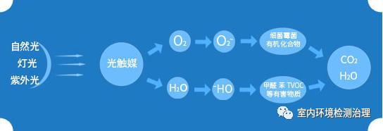 希望树光触媒除甲醛喷雾有用吗,日本光触媒除甲醛靠谱吗
