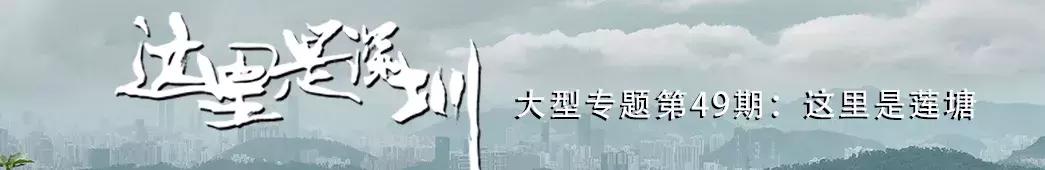 附近莲塘,附近的莲塘