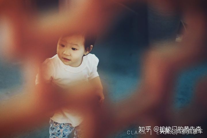 2019你都拍过什么,2019年最怀念的照片