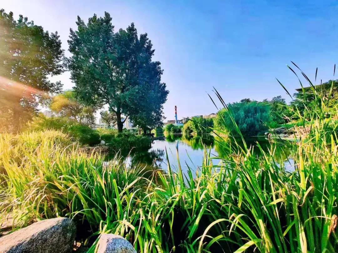 大连海事大学和辽宁省哪个级别高,大连海事大学辽宁省大学排名