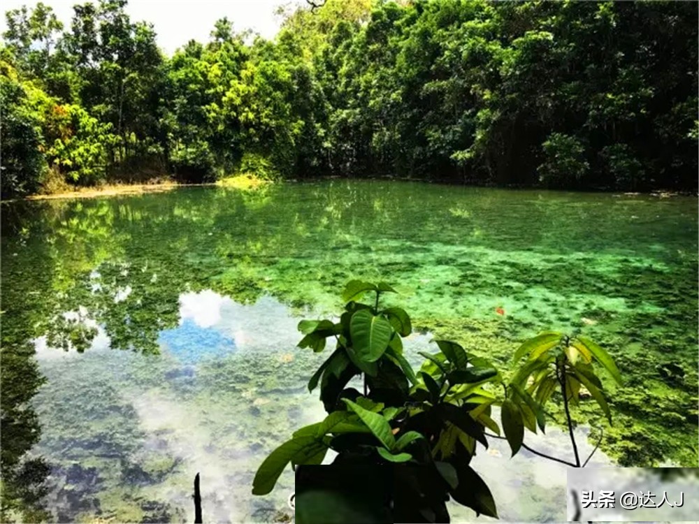 跟着小宇游日本,跟着小天玩游戏
