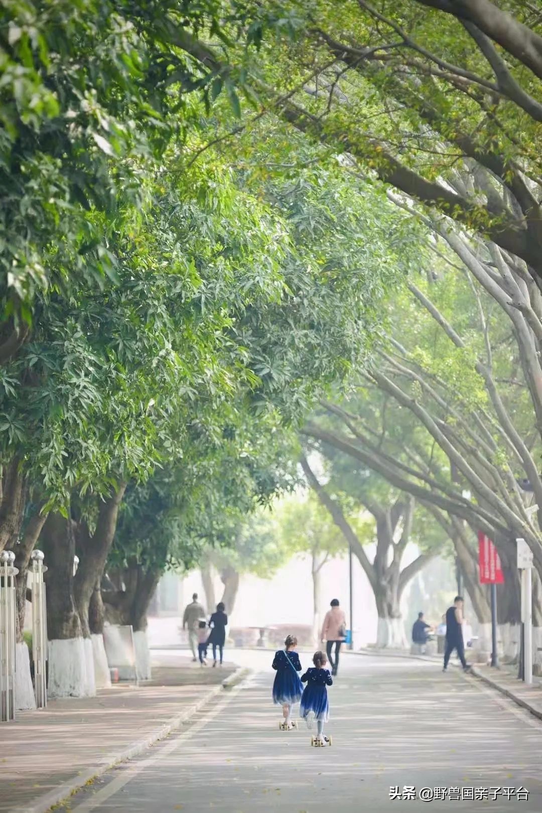 春游在即亲子露营攻略干货奉上,适合亲子的露营装备