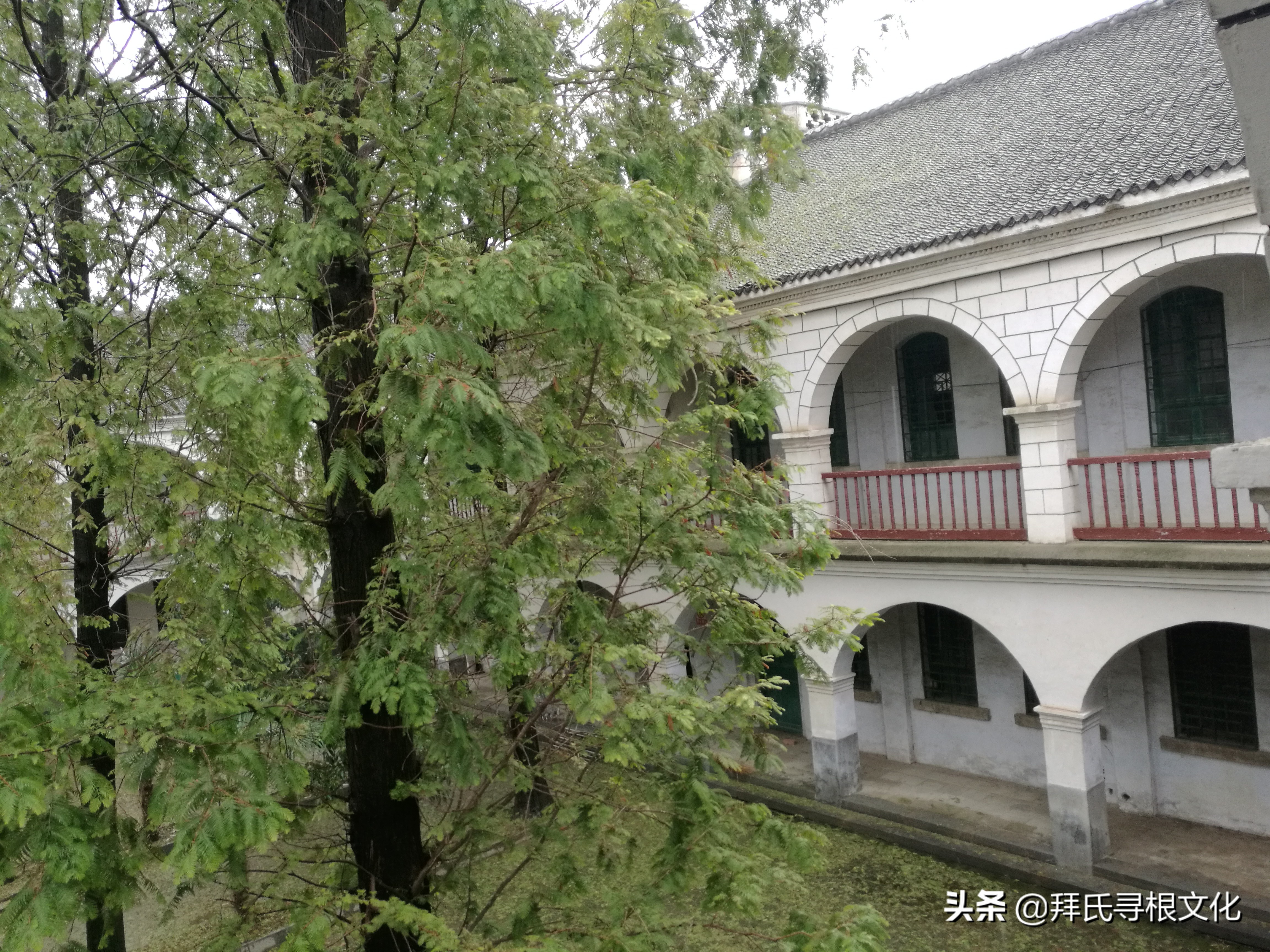 风雨泰和“转楼”