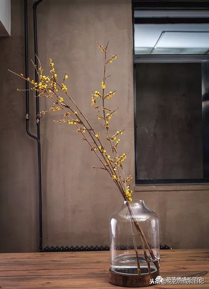 每日一花｜平生相见即眉开，一枝腊梅踏雪来