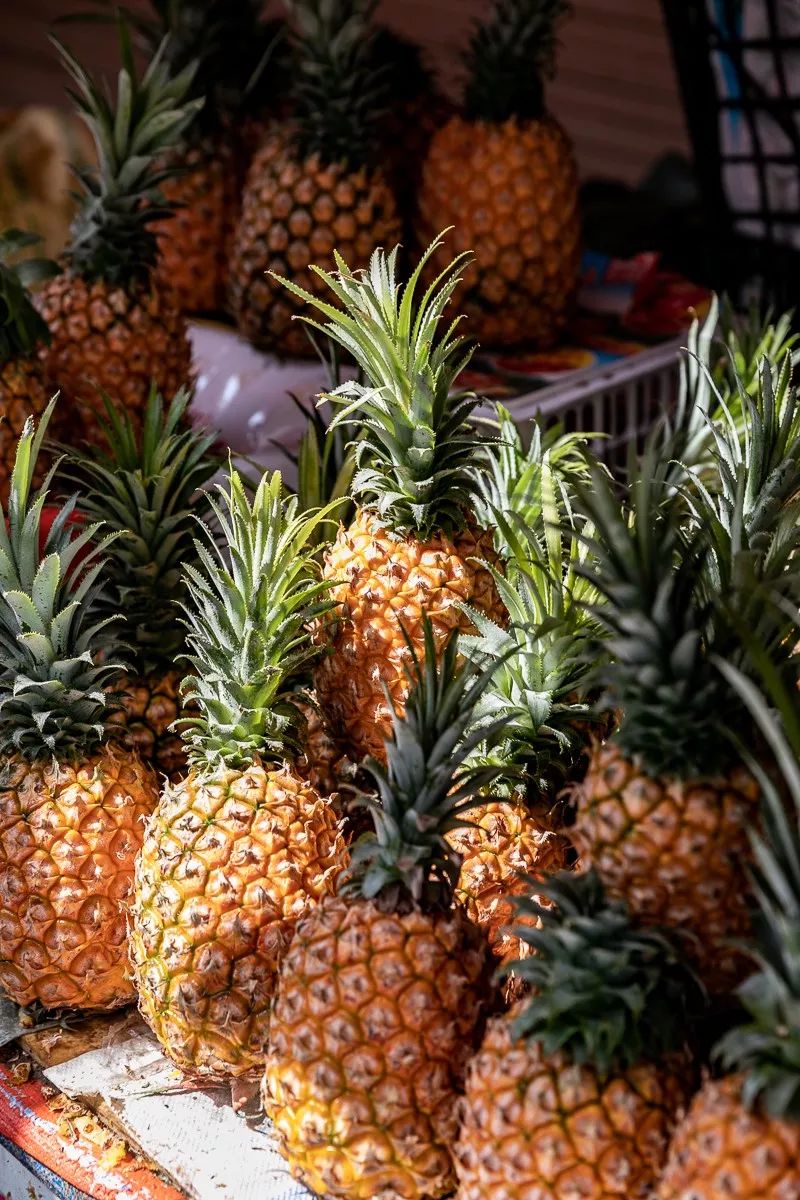 黄河新村淮安,黄河新村最新视频