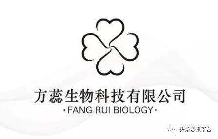 13岁也能成为省级代理,拥有同、越级推荐奖的“朵色”是何来历?
