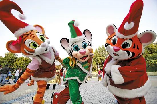 长隆投资宜昌,长隆会来宜昌吗