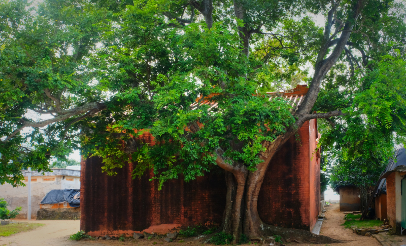 广东湛江旅游攻略赶海,湛江海边旅游攻略推荐地方