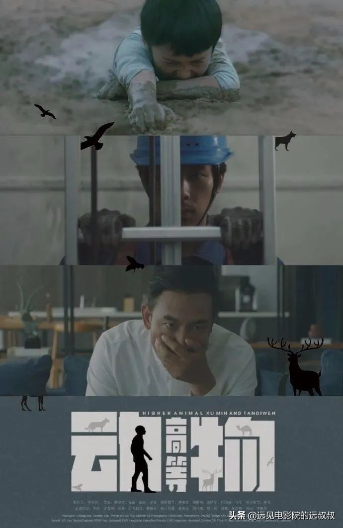 影院复工票房稳步上升,《1917》等大片定档,本周影视圈资讯汇总