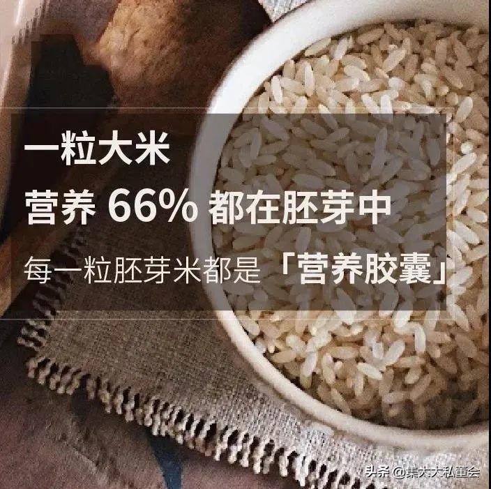 天天新米用心做好每一粒米，让每一粒米都更营养、更健康