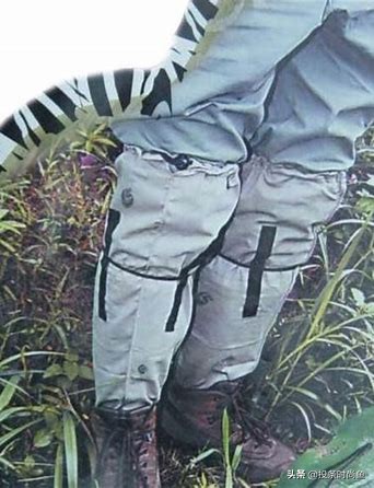 58种袜子类型介绍，买袜子不再迷茫了，超详尽的袜子大百科来了