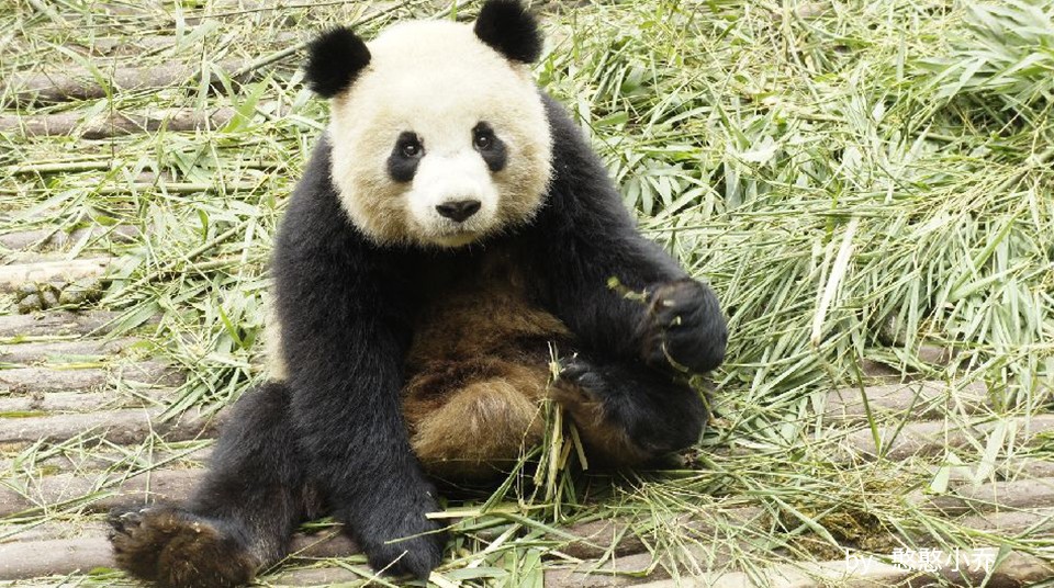 因为你们，“爱豆”的世界离我们不再远咯