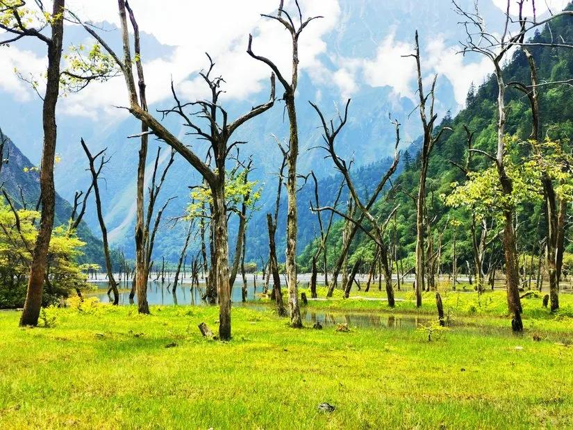 贡嘎山的徒步,贡嘎雪山大环线徒步游记