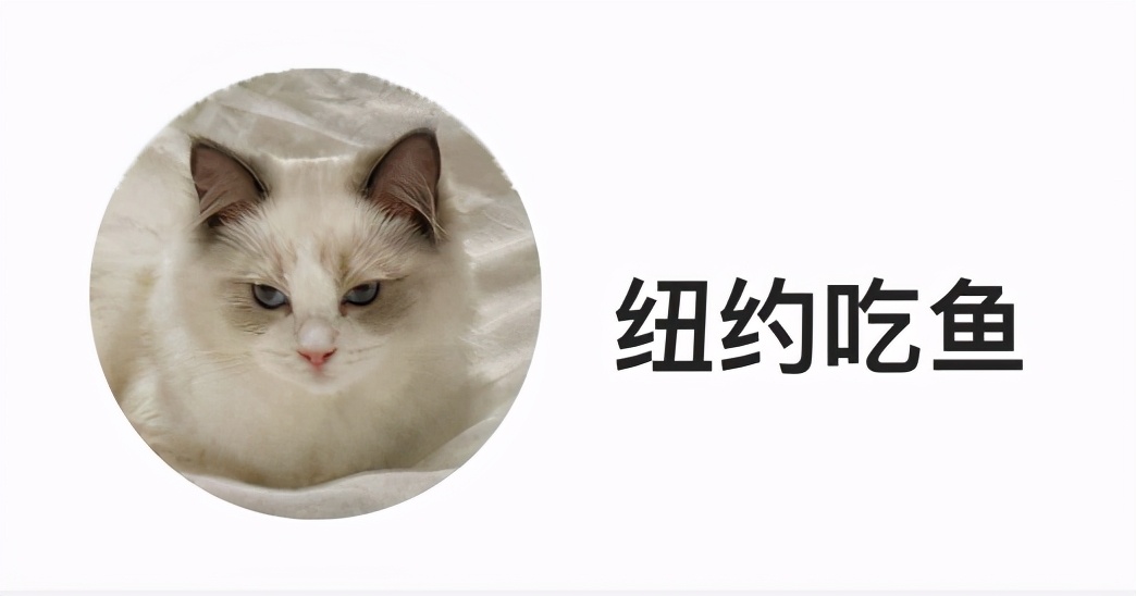 黄石:美国白人的另类苦难