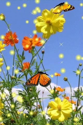 几十张绝美的图,绝美花的倒影100张图片