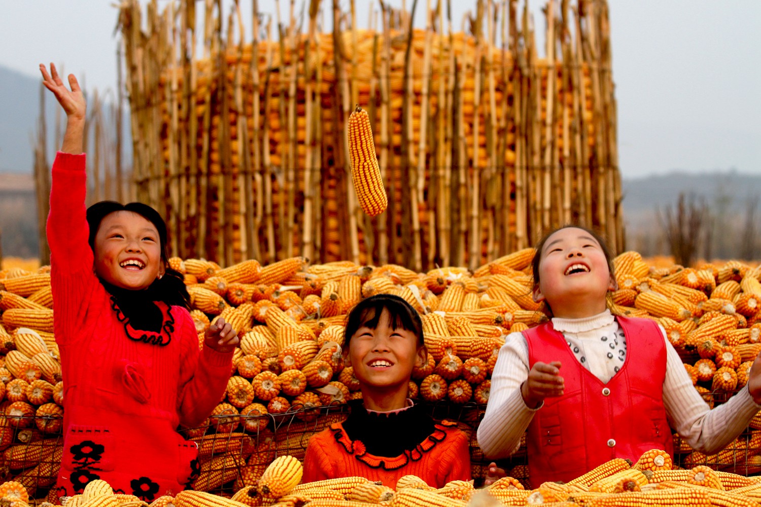 丰收快乐节,农民丰收节唱出丰收喜悦