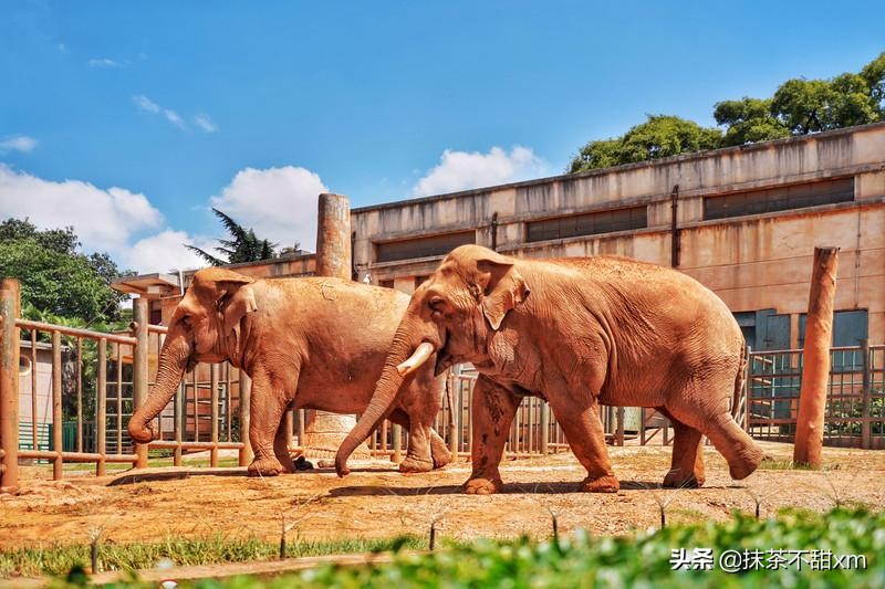 云南旅游自由行攻略昆明大理丽江,云南大理丽江旅游攻略6天5晚