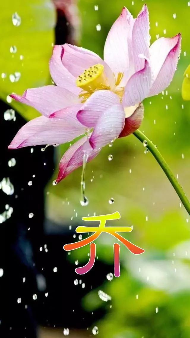 天然翡翠财字,翡翠字体图片欣赏